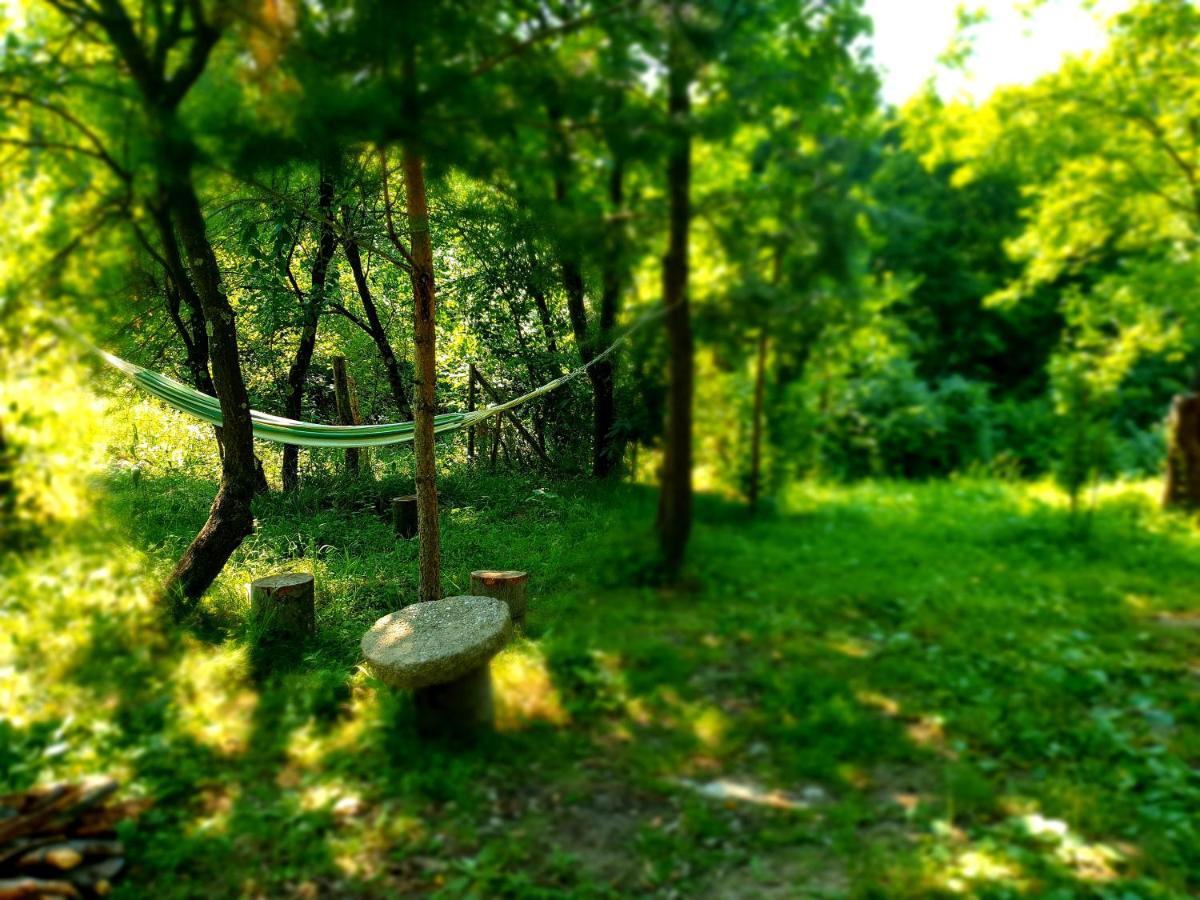 Mystically Wood House In The Forest Carjari Exterior foto