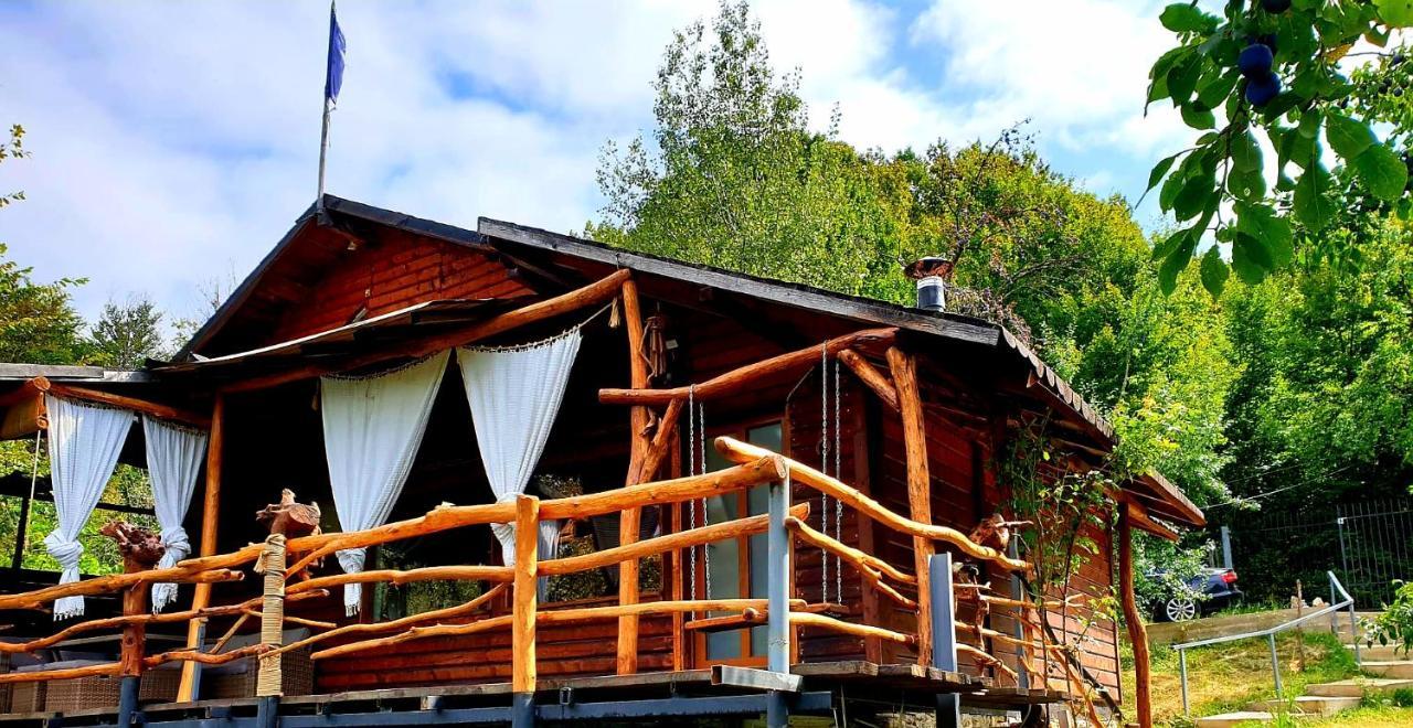 Mystically Wood House In The Forest Carjari Exterior foto